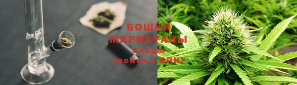 дживик Карпинск