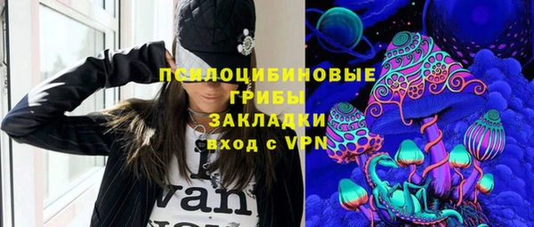 дживик Карпинск