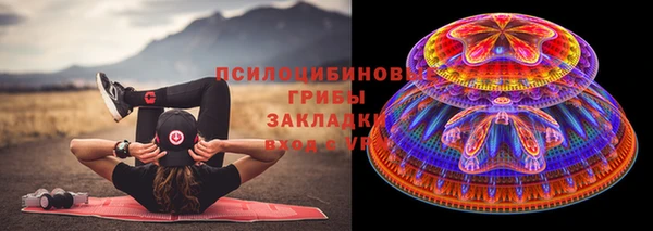 дживик Карпинск