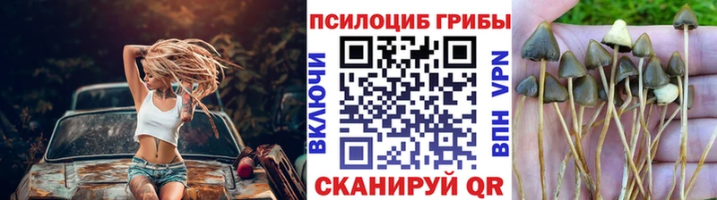 Галлюциногенные грибы мухоморы  Купить закладки  Ликино-Дулёво 